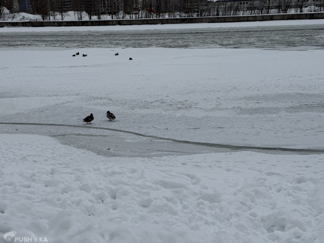 Продаётся 1-комнатная квартира 35.0 кв.м. этаж 13/18 за 24 900 000 руб