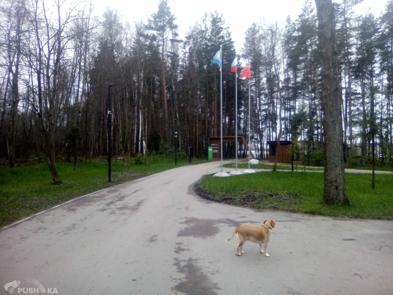 Продаётся 1-комнатная квартира 40.3 кв.м. этаж 4/4 за 6 300 000 руб 