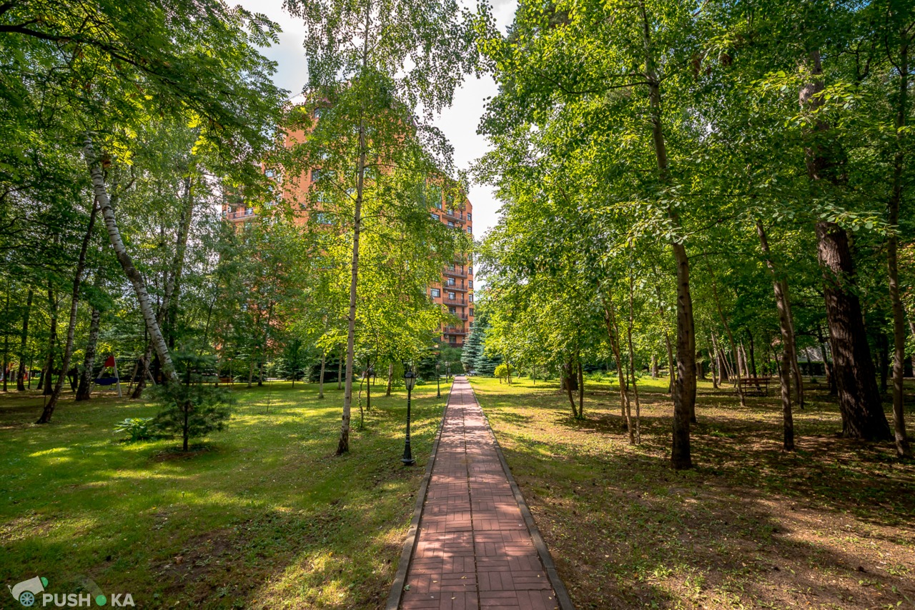 Заречье Одинцовский Район Фото