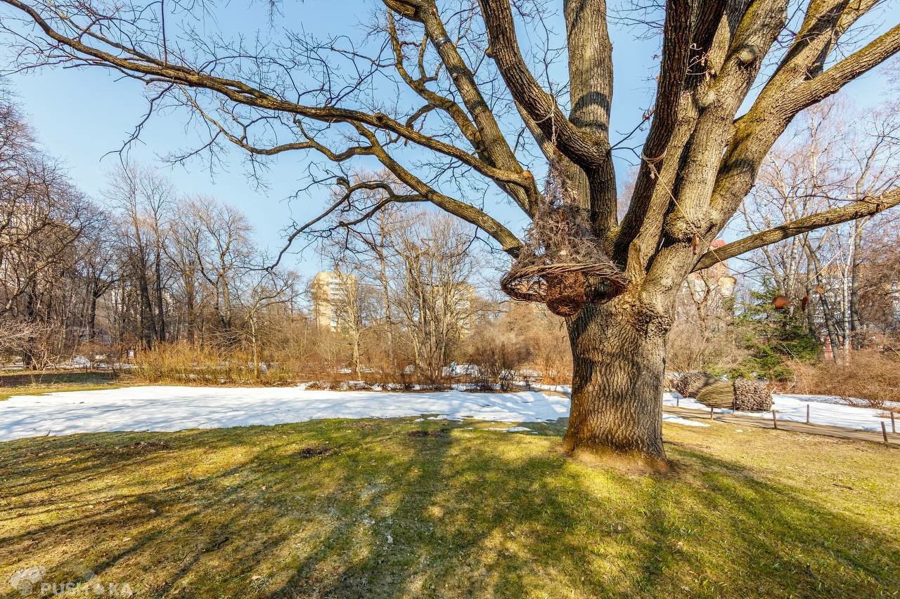 Продаётся 3-комнатная квартира 96.5 кв.м. этаж 2/14 за 43 500 000 руб 