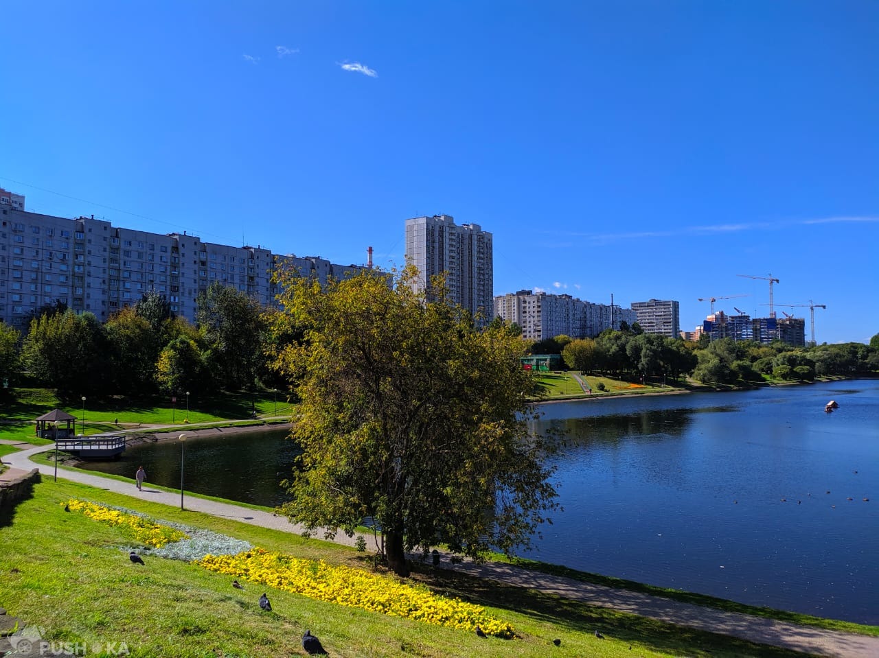 Купить Квартиру В Москве Ул Кастанаевская