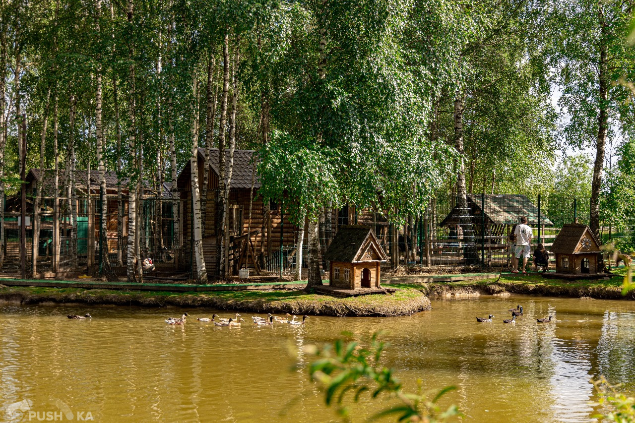 КП «Эмеральд Вилладж (Emerald Village)»