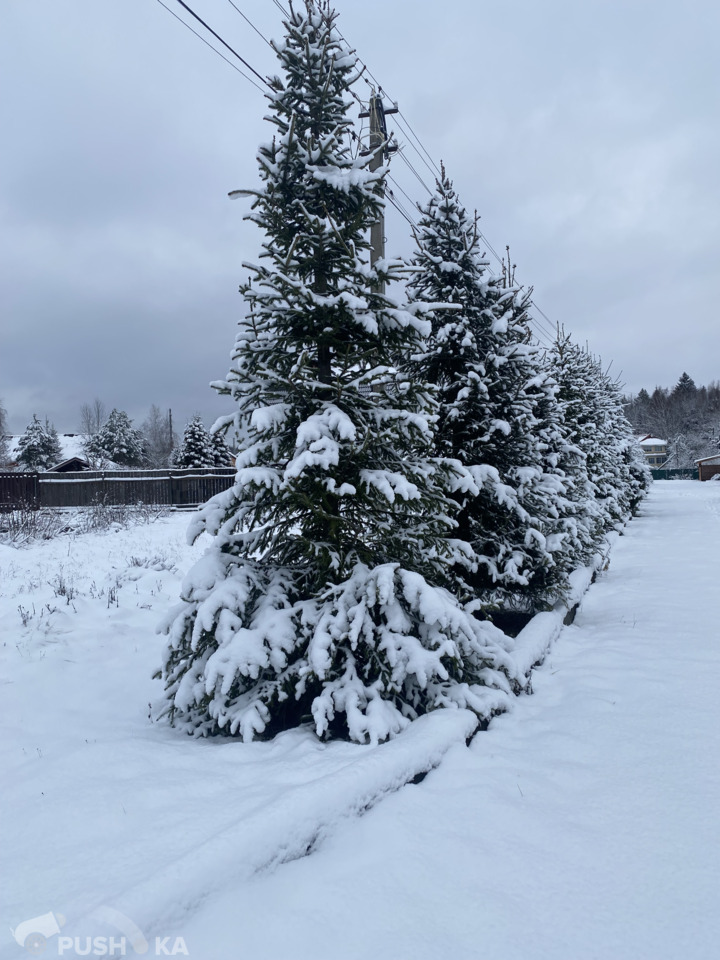 Продаётся  участок 20.00 сот. за 18 800 000 руб 