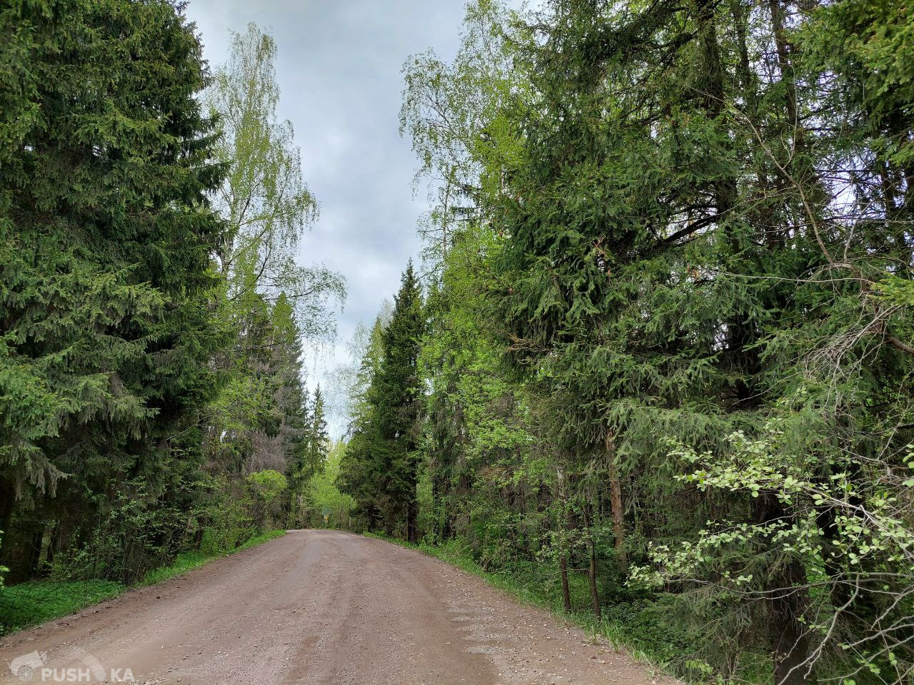 Купить участок Московская обл, г Солнечногорск, деревня Хоругвино, тер. СНТ  Блюз - , объявление №255329